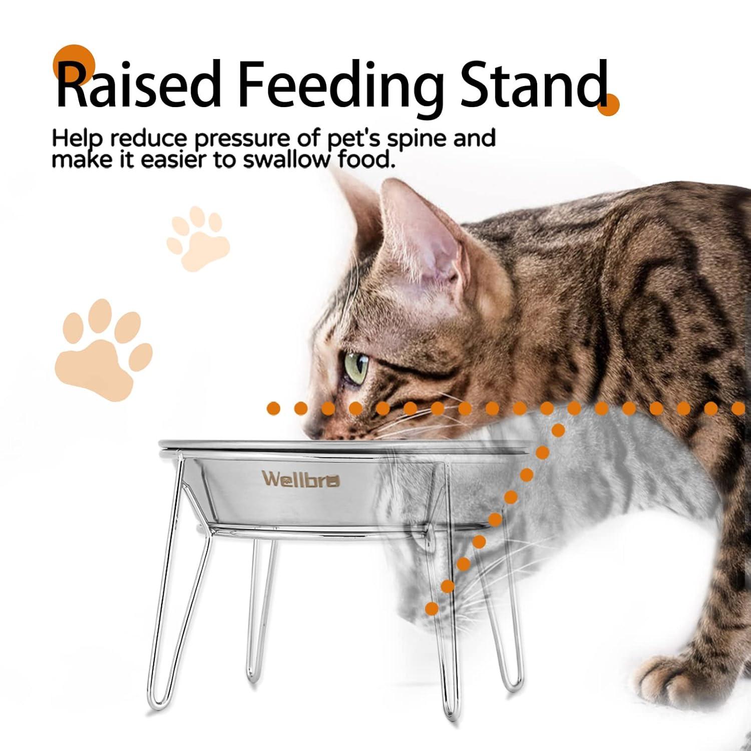 Elevated Cat Bowls, 5.9 Inch Wide Stainless Steel Cat Food Bowls with Metal Stand Whisker Stress-Free, Raised Food and Water Dish for Cats, Kitten, Puppies and Small Dogs-2 Pack