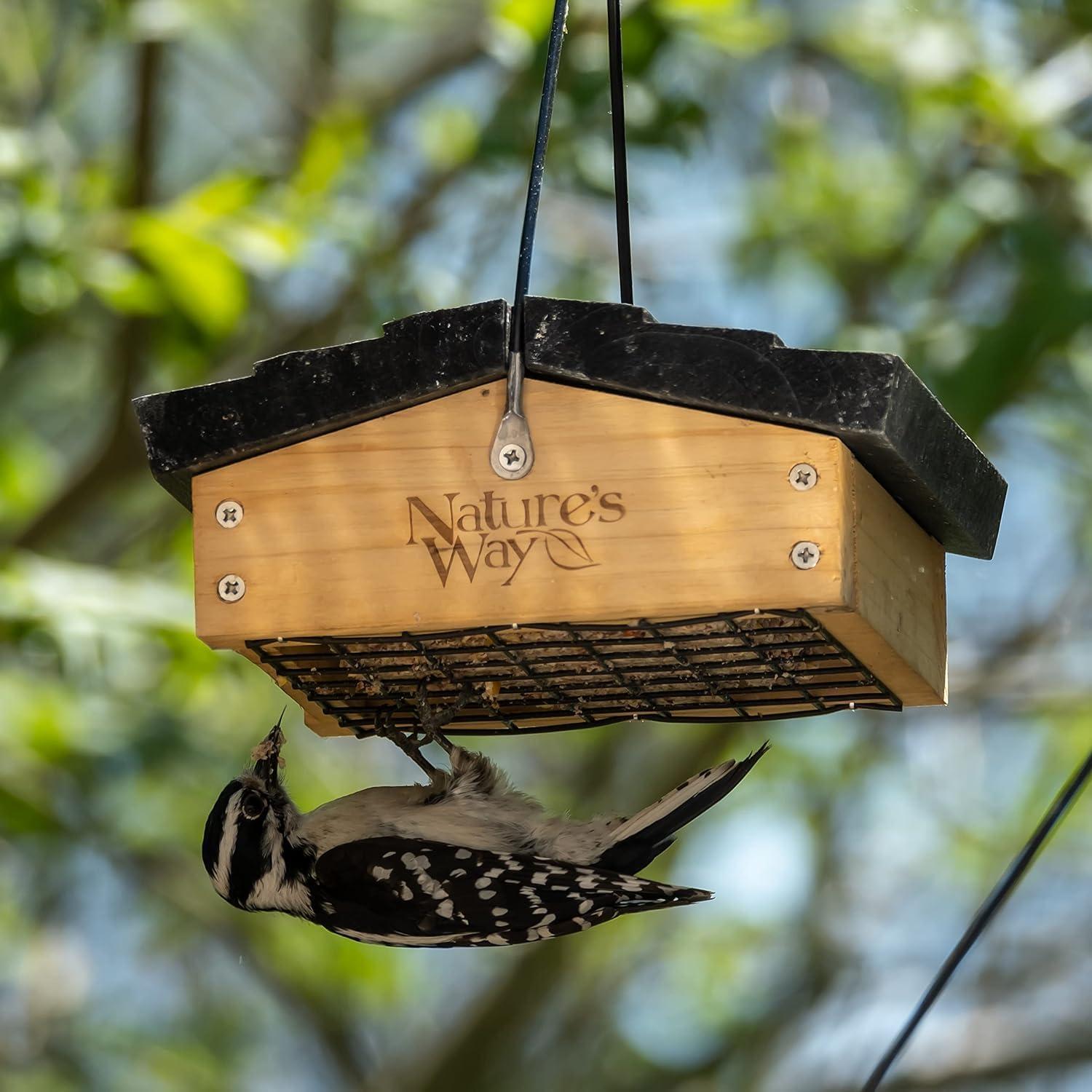 'Nature's Way Cedar Suet Upside-Down Bird Feeder 1 Cake, Brown