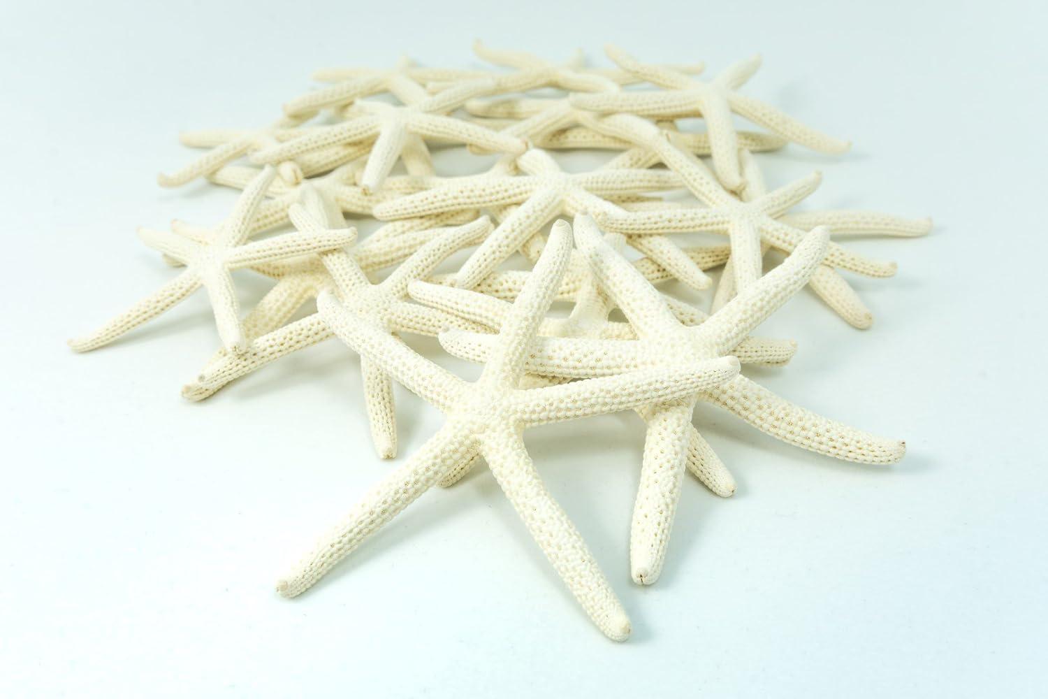 Starfish | 6 White Finger Starfish 3"-4" | Home Decor Art & Crafts