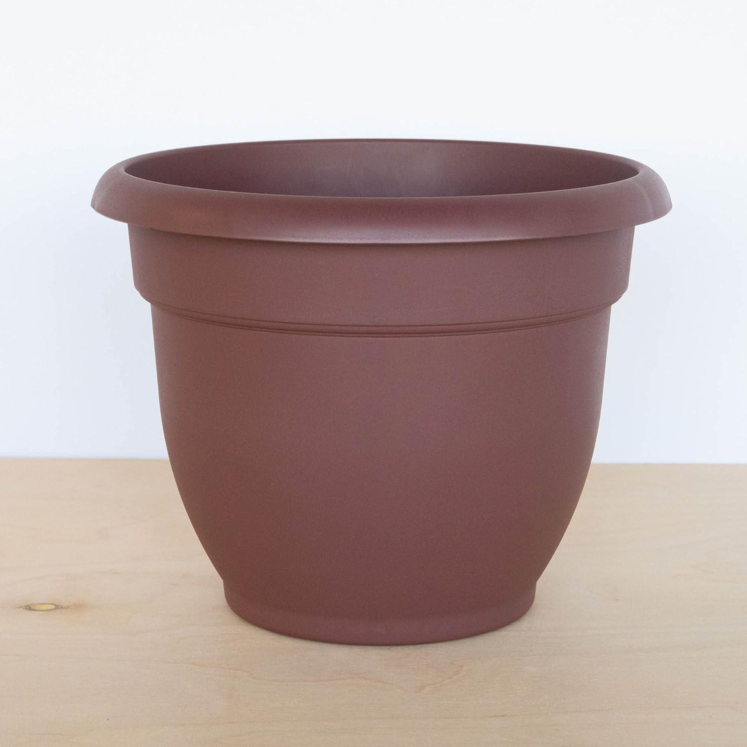 Bloem Ariana Self Watering Planter 12" Merlot. The Ariana planter wate, Each