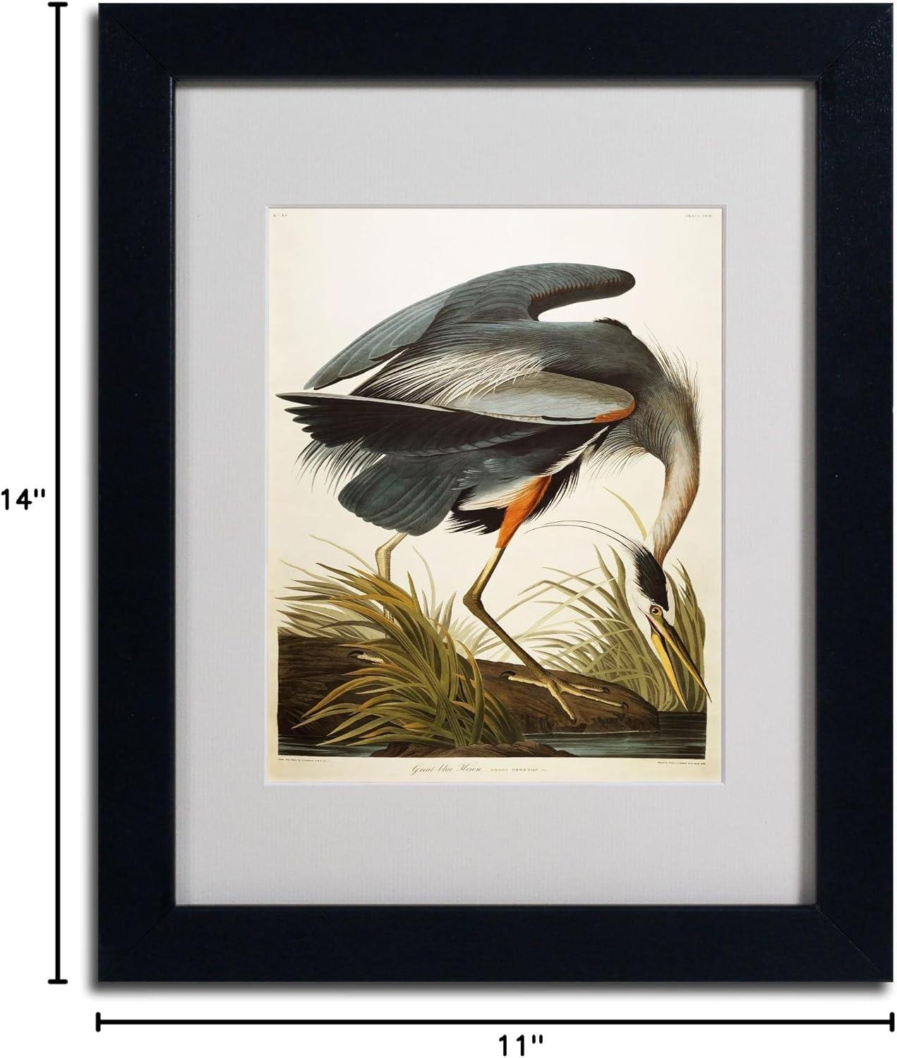 " Great Blue Heron " by James Audubon