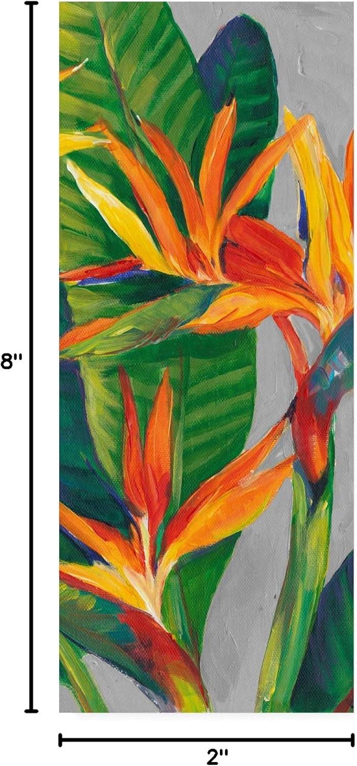 Trademark Fine Art -Tim Otoole 'Bird Of Paradise Triptych Ii' Canvas Art - 19''x8''