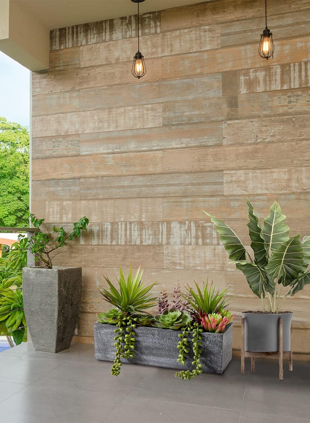 Serene Spaces Living Mixed Succulents in Rectangular Planter, Perfect for Weddings and Home Décor, Real Looking Succulent for Decoration, Sold Individually, Measures 12in Long x 4.5in Wide x 9in Tall