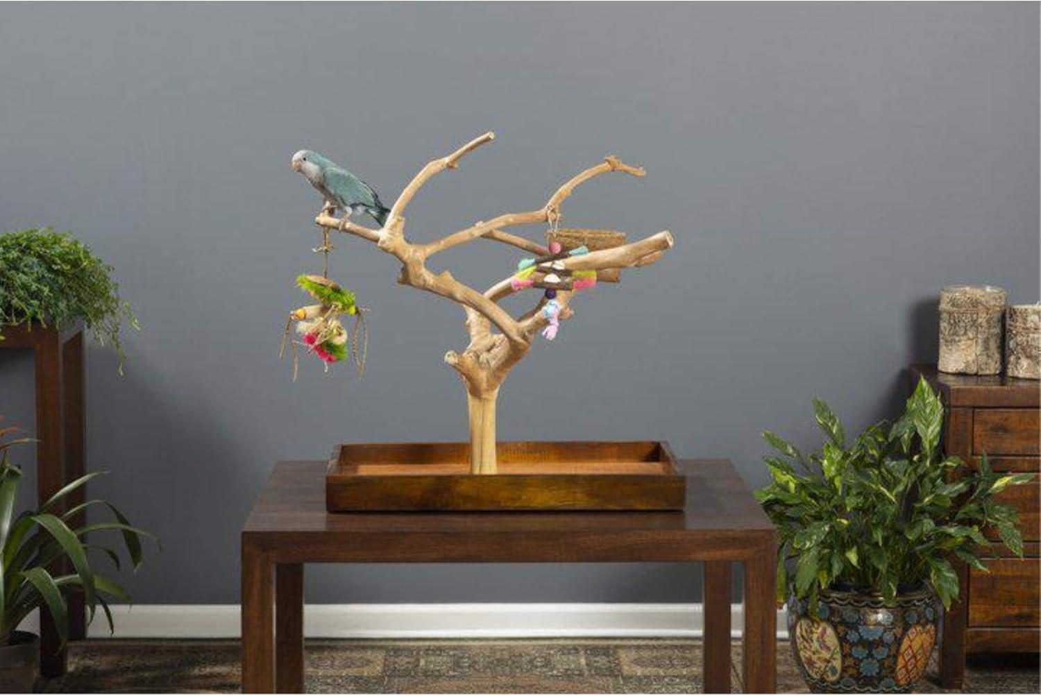 Medium Natural Brown Coffeawood Tabletop Bird Playstand