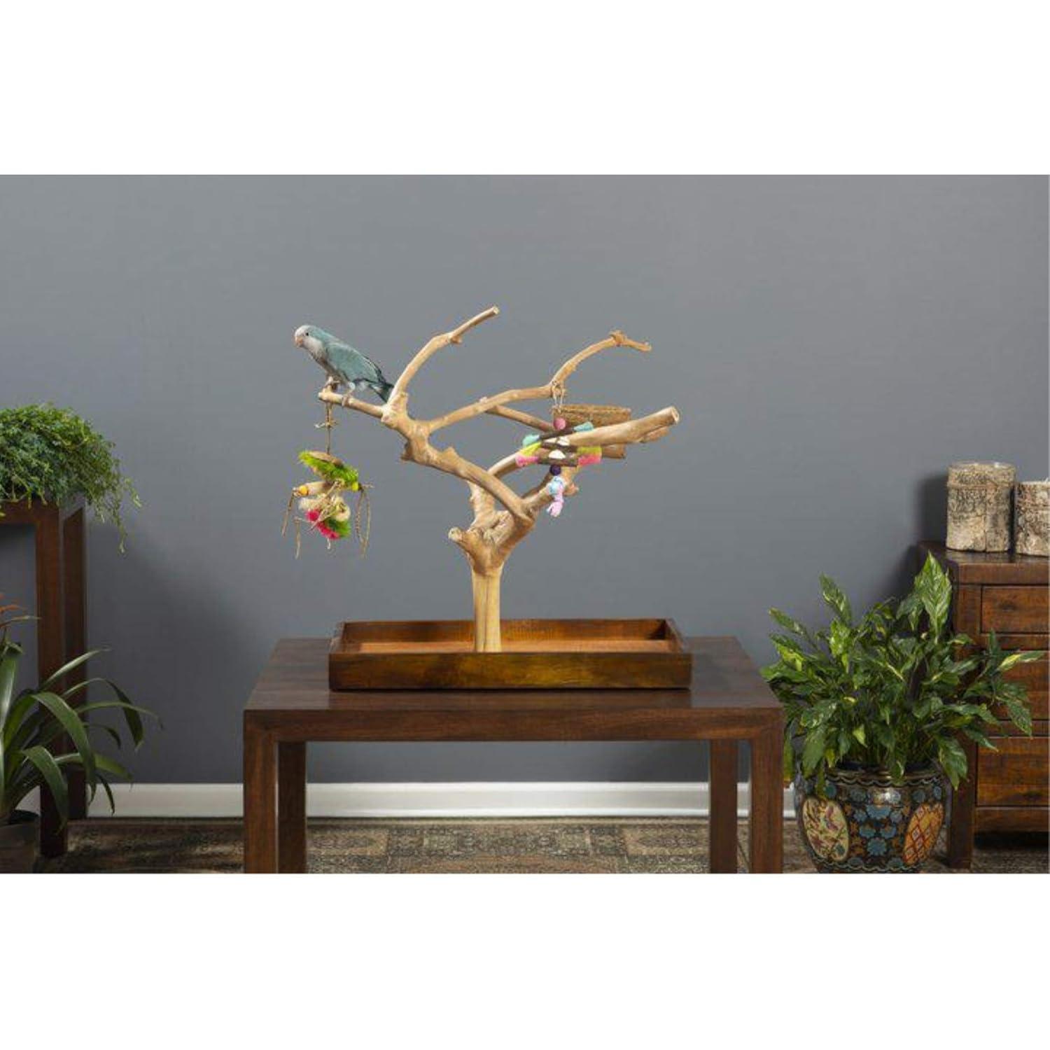 Tucker Murphy Pet™ Freeport One-of-a-Kind 22.5'' Wood Bird Play Stand for Table Top