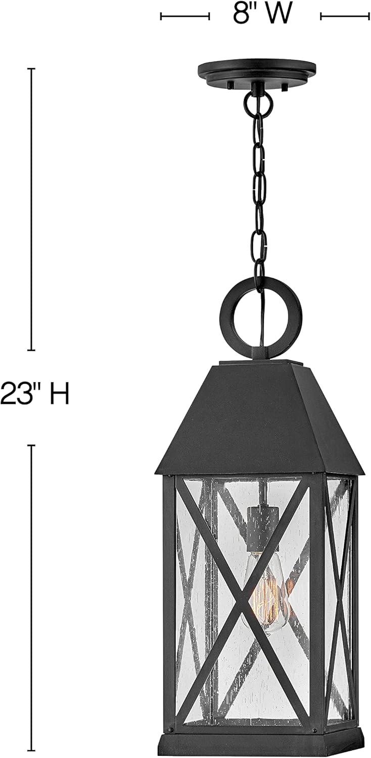 Briar 1 - Light Lantern Pendant