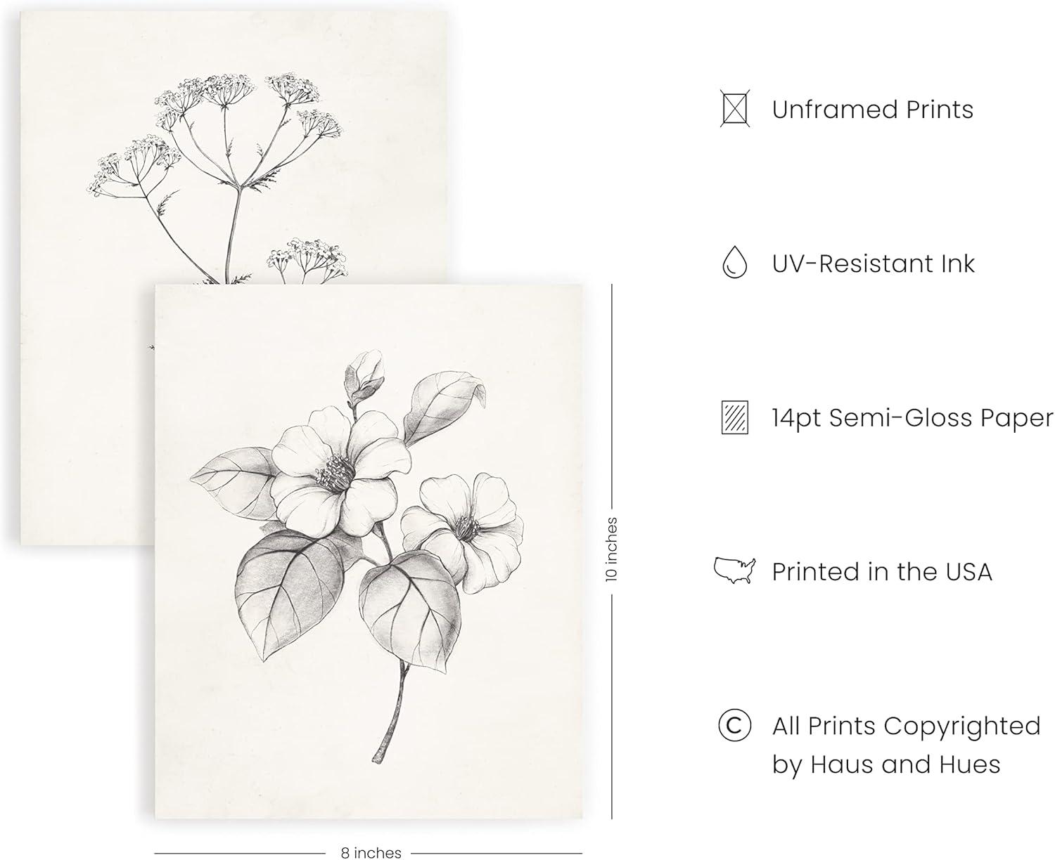 Haus and Hues Grey Floral Wall Art - Set of 4 Plant Posters for Wall Vintage, Botanical Prints, Black and White Wall Art Flower Pictures for Room Aesthetic, Farmhouse Bathroom Art (8x10, Unframed)