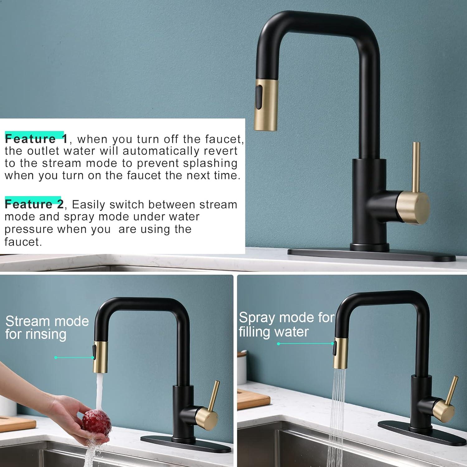 Matte Black and Brushed Gold Stainless Steel Pull-Out Kitchen Faucet