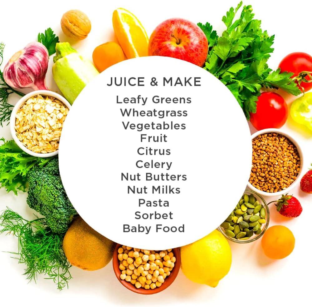 Omega Omega Cold Press Slow Masticating Juicer