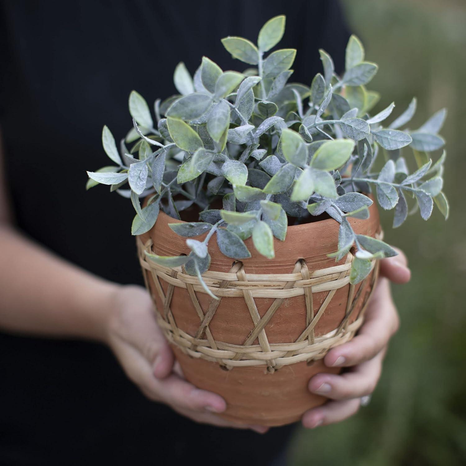 Natural Terracotta and Woven Rattan Planter - Foreside Home & Garden