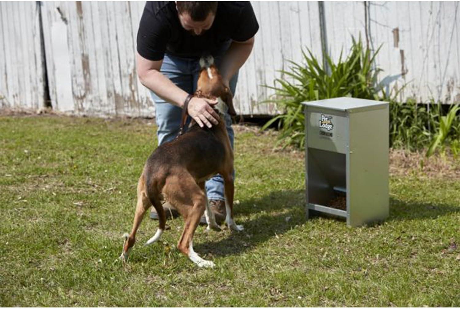 Pet Lodge Galvanized Steel Automatic Dog Feeder, 25 lb Capacity