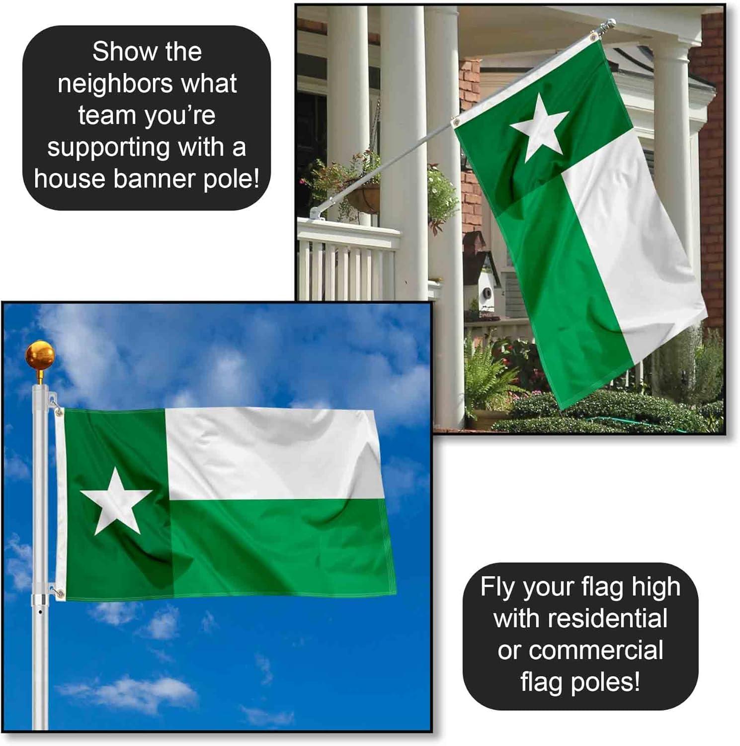Desert Cactus University of North Texas Flag UNT Mean Green Flags Banners 100% Polyester Indoor Outdoor 3x5 (Green Texas Flag)