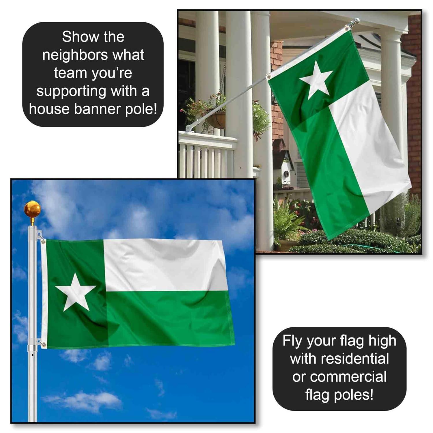Desert Cactus University of North Texas Flag UNT Mean Green Flags Banners 100% Polyester Indoor Outdoor 3x5 (Green Texas Flag)
