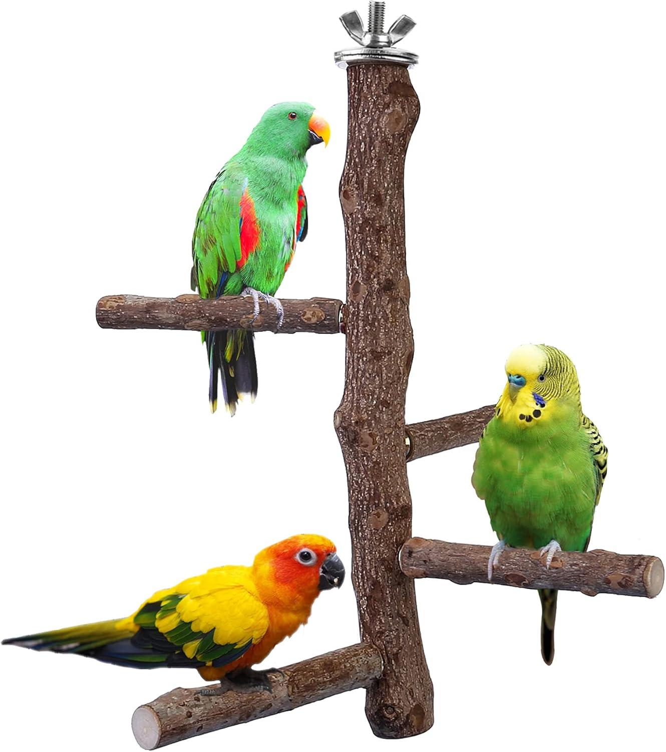 Natural Wood Bird Perch Stand with Metal Fasteners