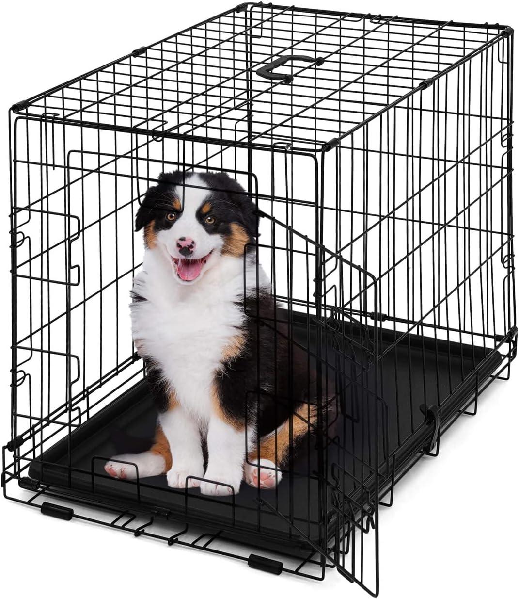 Small Black Foldable Metal Dog Crate with Single Door