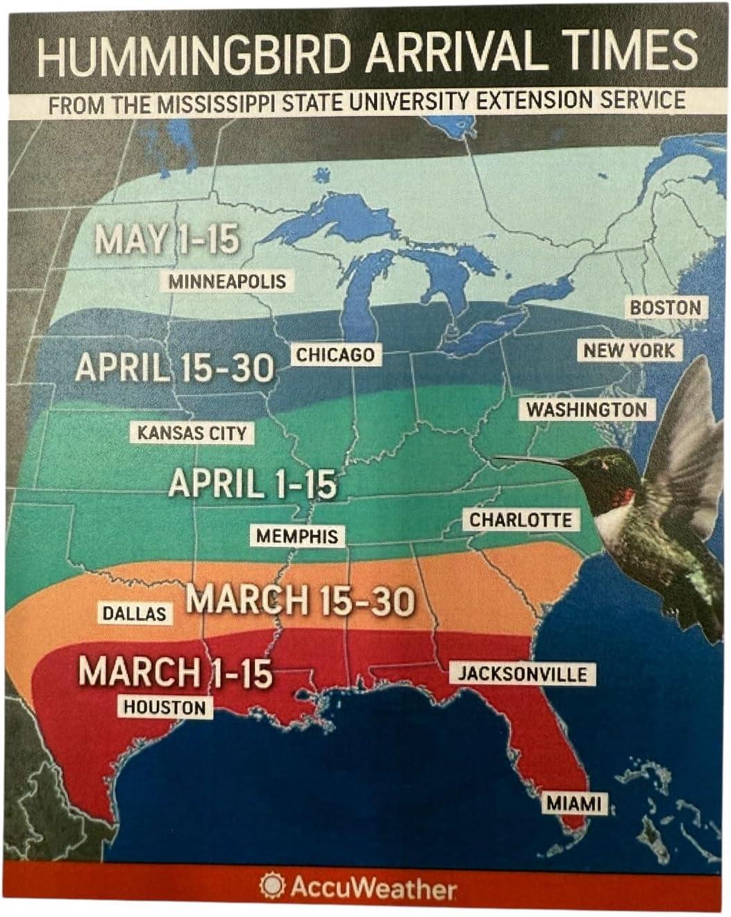 Insulated Hummingbird Feeder Keeps Nectar Cooler & Fresh Longer