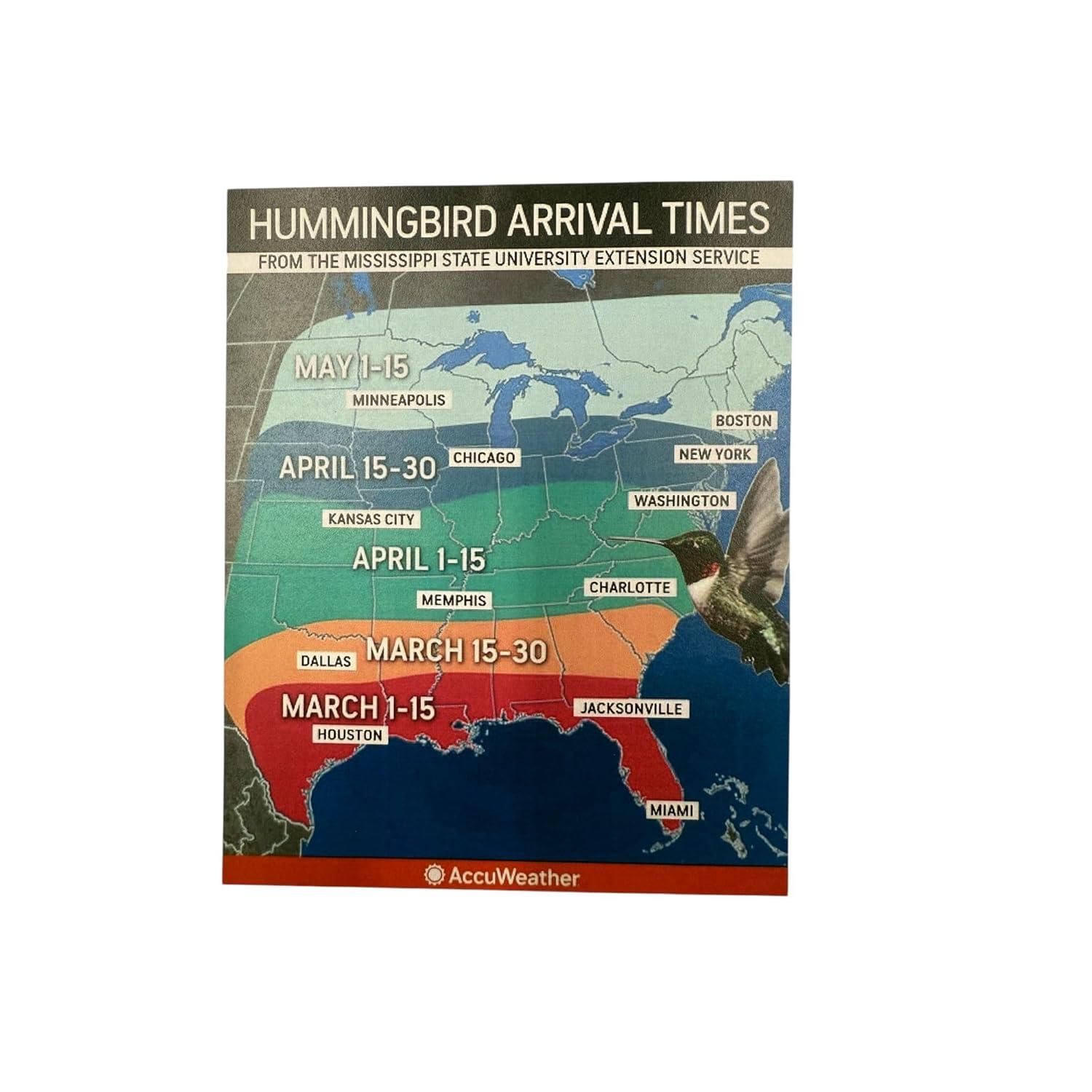 Insulated Hummingbird Feeder Keeps Nectar Cooler & Fresh Longer