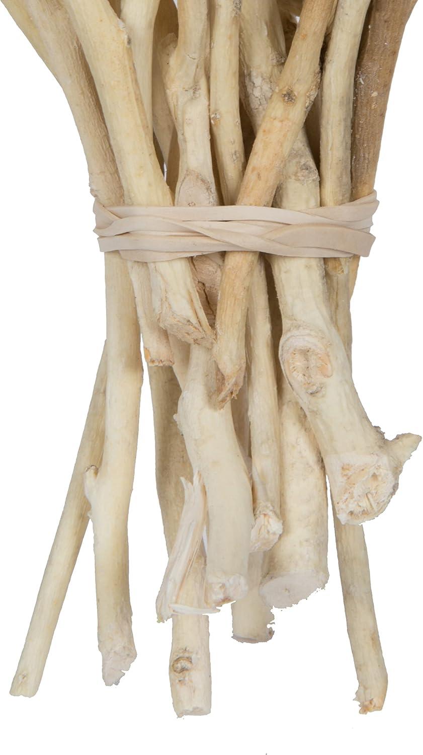 Vickerman Natural Botanicals 11" x 2-4" Conical Gum Branch Bleached, 20 stems per unit