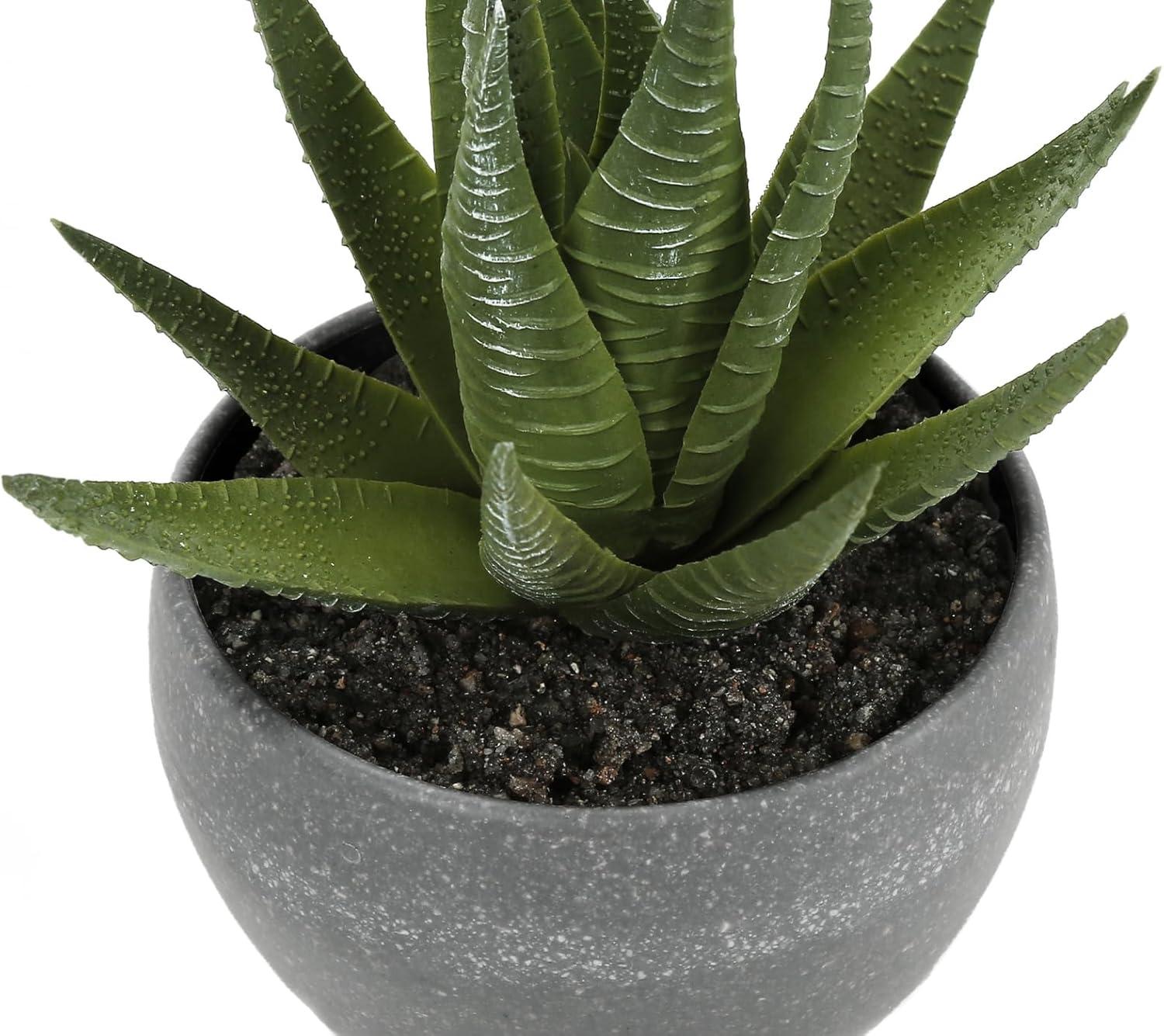 Artificial Succulents Silk Plant Indoor Set of 3, Green, Gray Cement