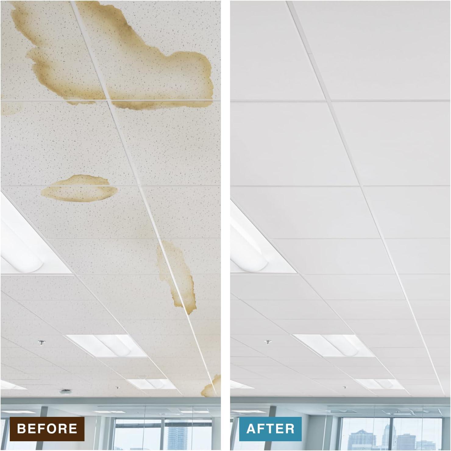 Ceiling Tile,24" W,24" L,3/4" Thick,PK12