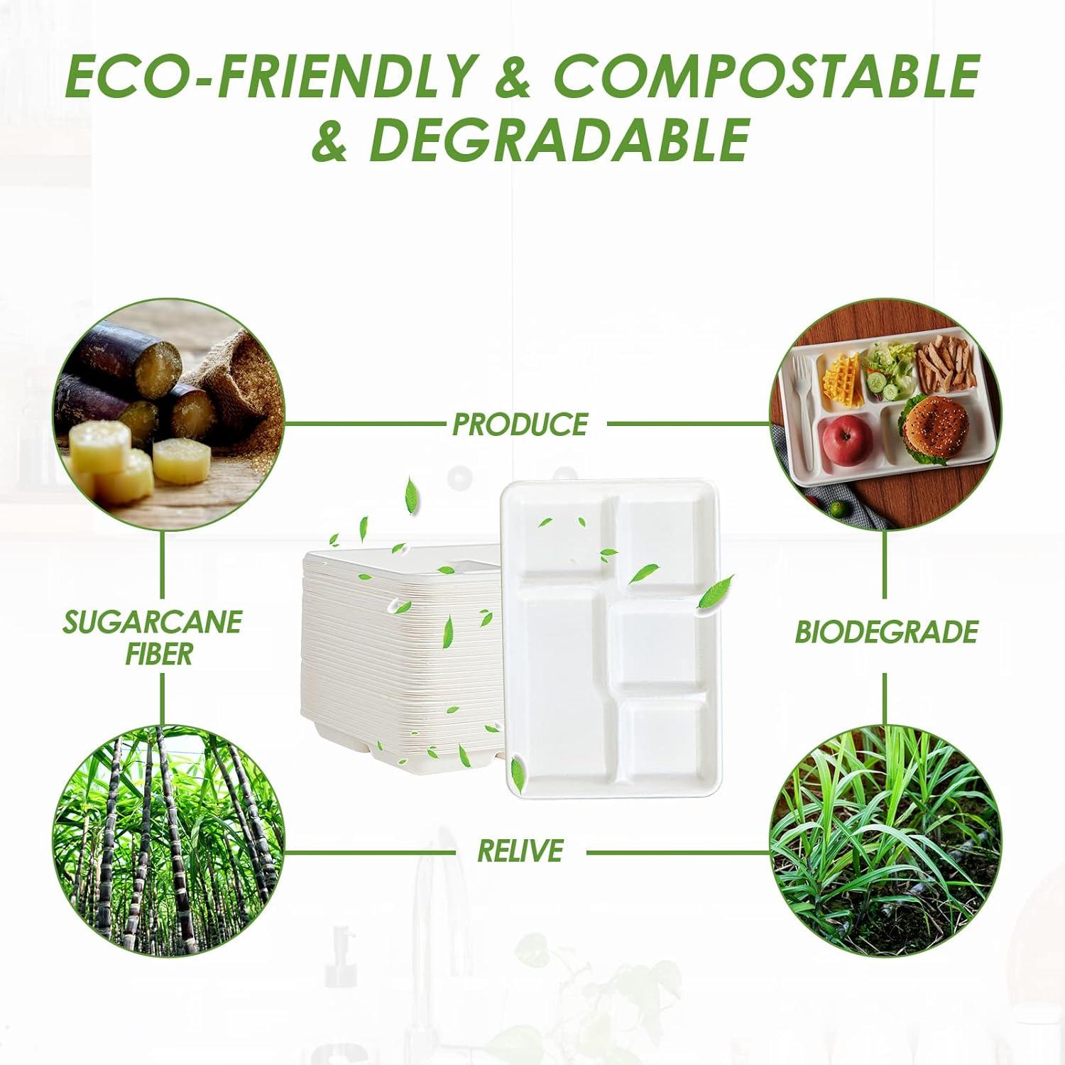 Vplus 100% Compostable Bagasse 5 Compartment Paper Plate, 12.5*8.6 inch, White,100 Pack