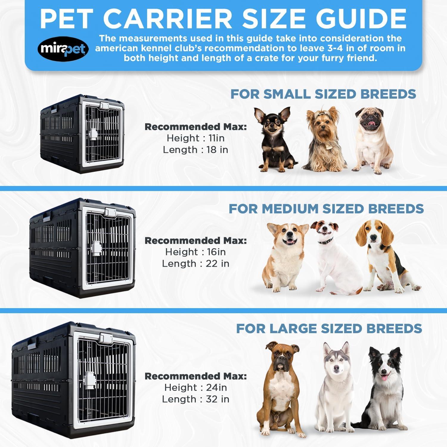 Collapsible Crate - Medium