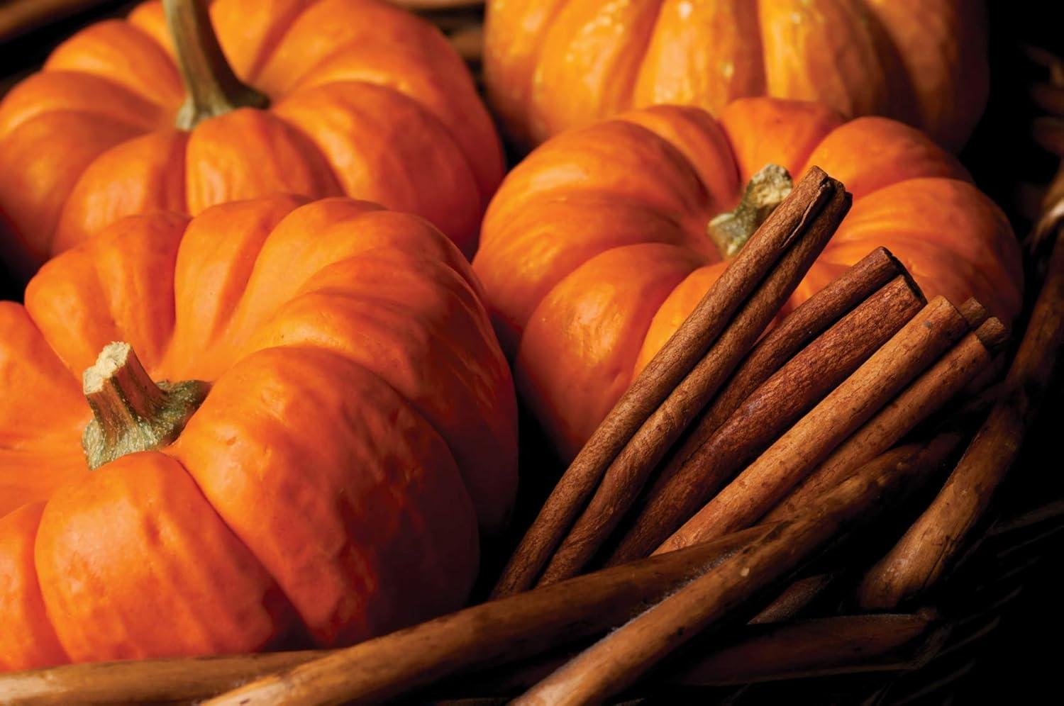 Pumpkin Spice Scented Beeswax Votive Candle Set