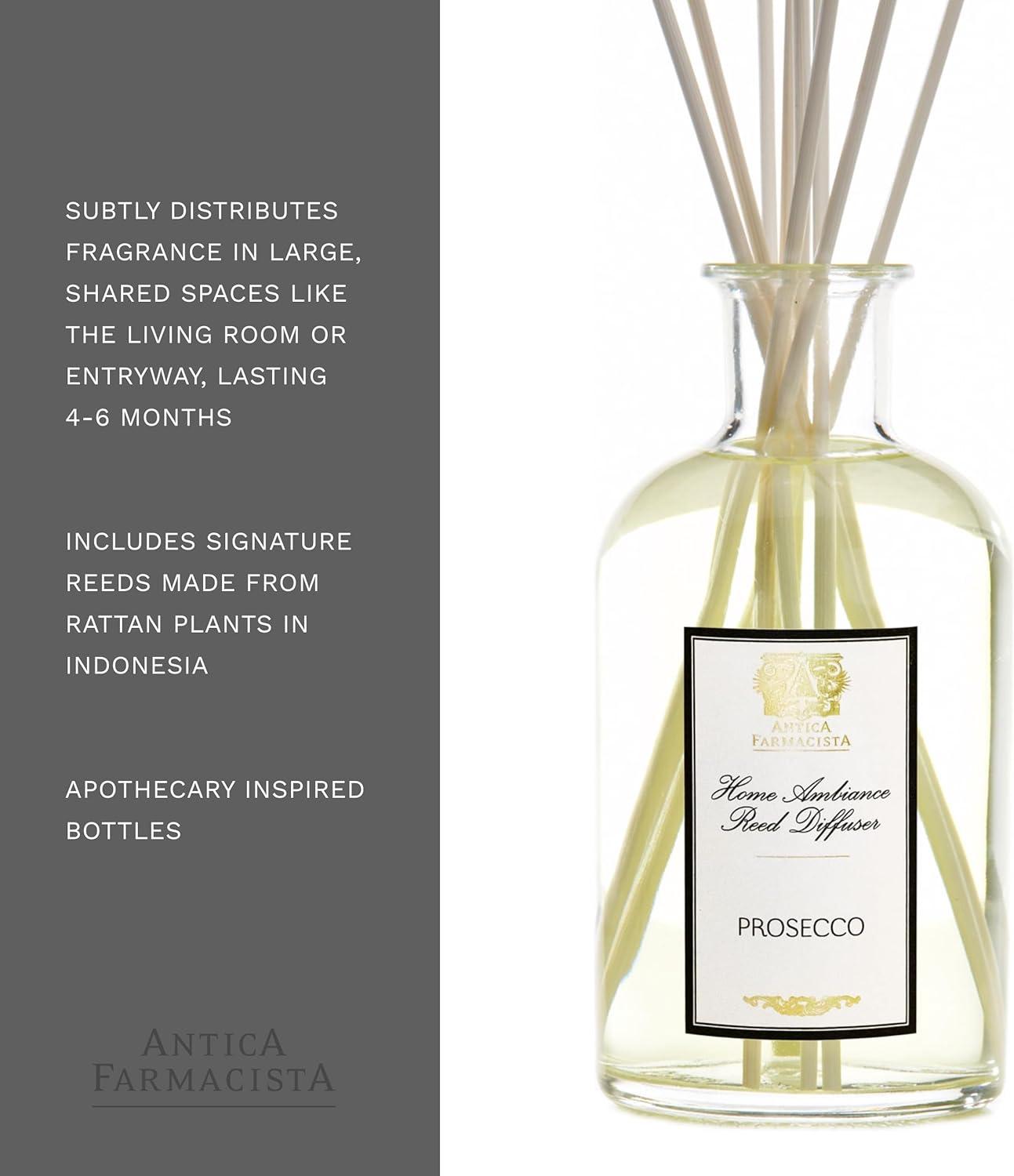 Antica Prosecco Elegance 16.9 Fl Oz Reed Diffuser with White Birch Reeds