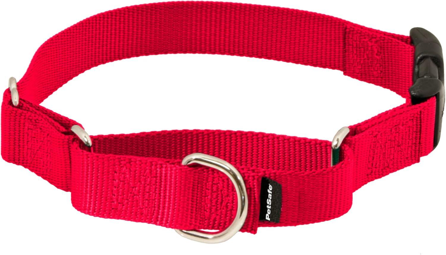 Medium Red Nylon Martingale Dog Collar with Quick Snap Buckle