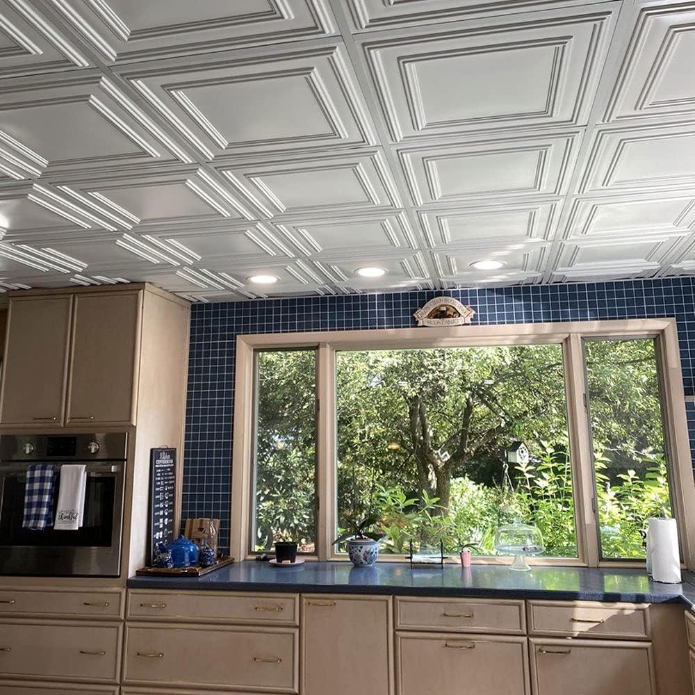 232-Economy 2 ft. x 2 ft. PVC Lay-in Ceiling Tile in Plain White (40 Sq.ft / Pack) - 10 Pieces