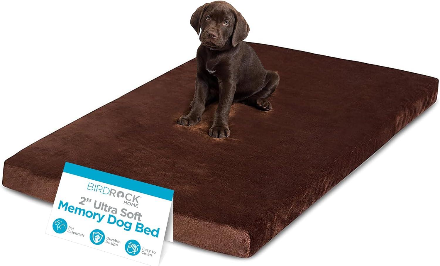 BirdRock Home Orthopedic Polyester Pet Bed