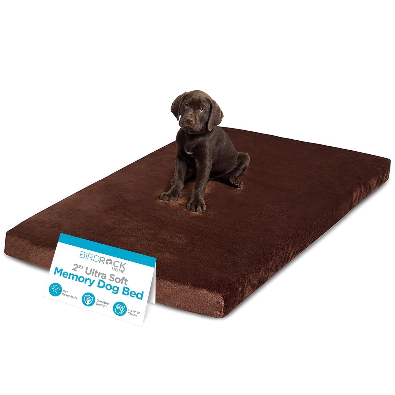 BirdRock Home Orthopedic Polyester Pet Bed