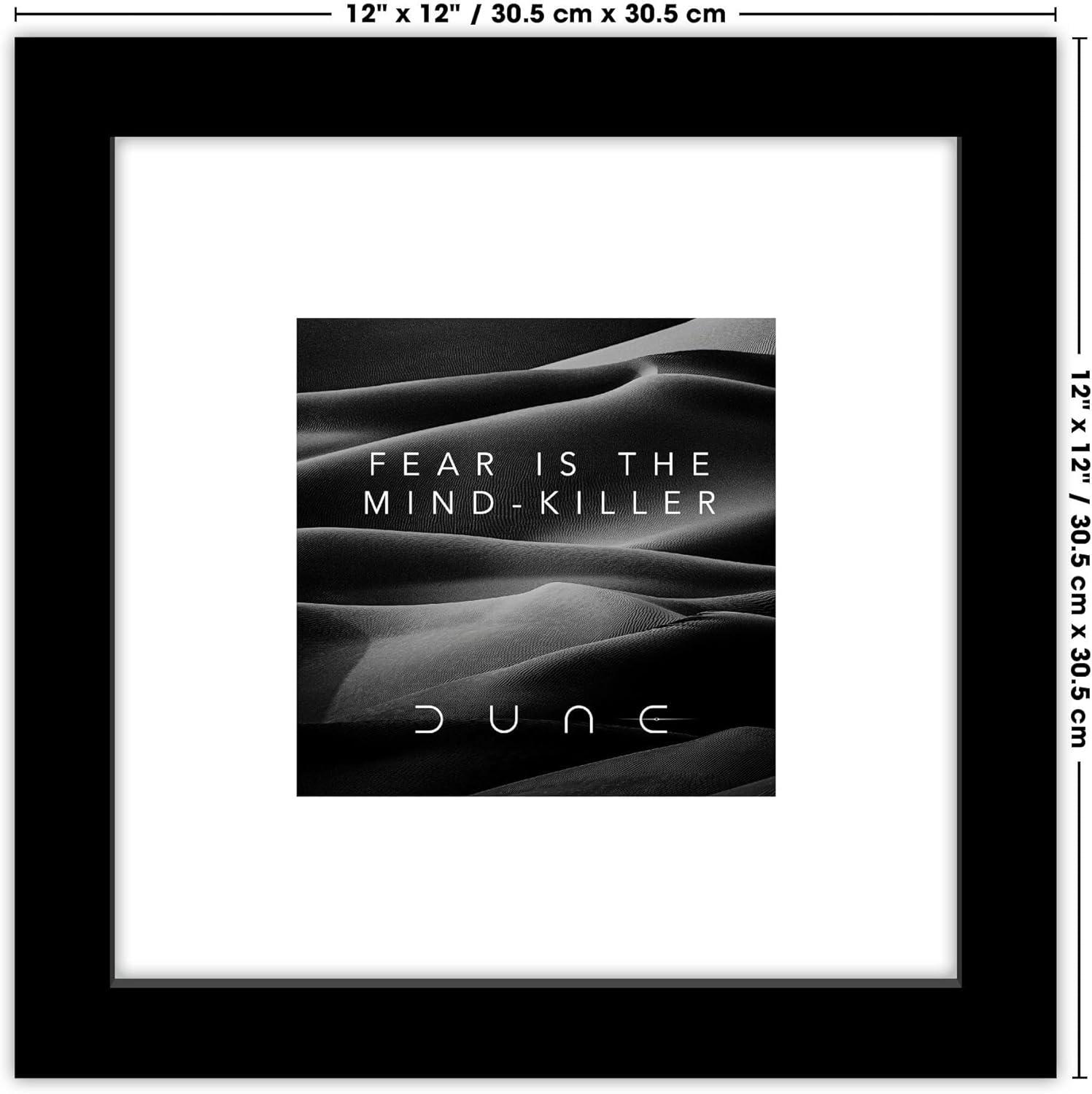 Gallery Pops Dune - Fear Is The Mind-Killer Wall Art, Black Framed Version, 12" x 12"