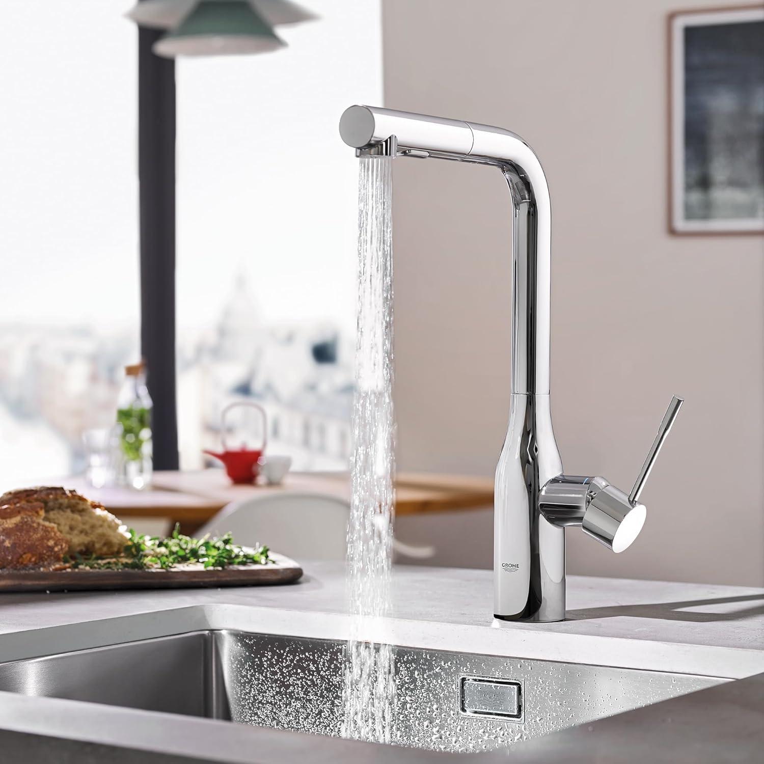 Essence Pull Out Single Handle Kitchen Faucet with Accessories