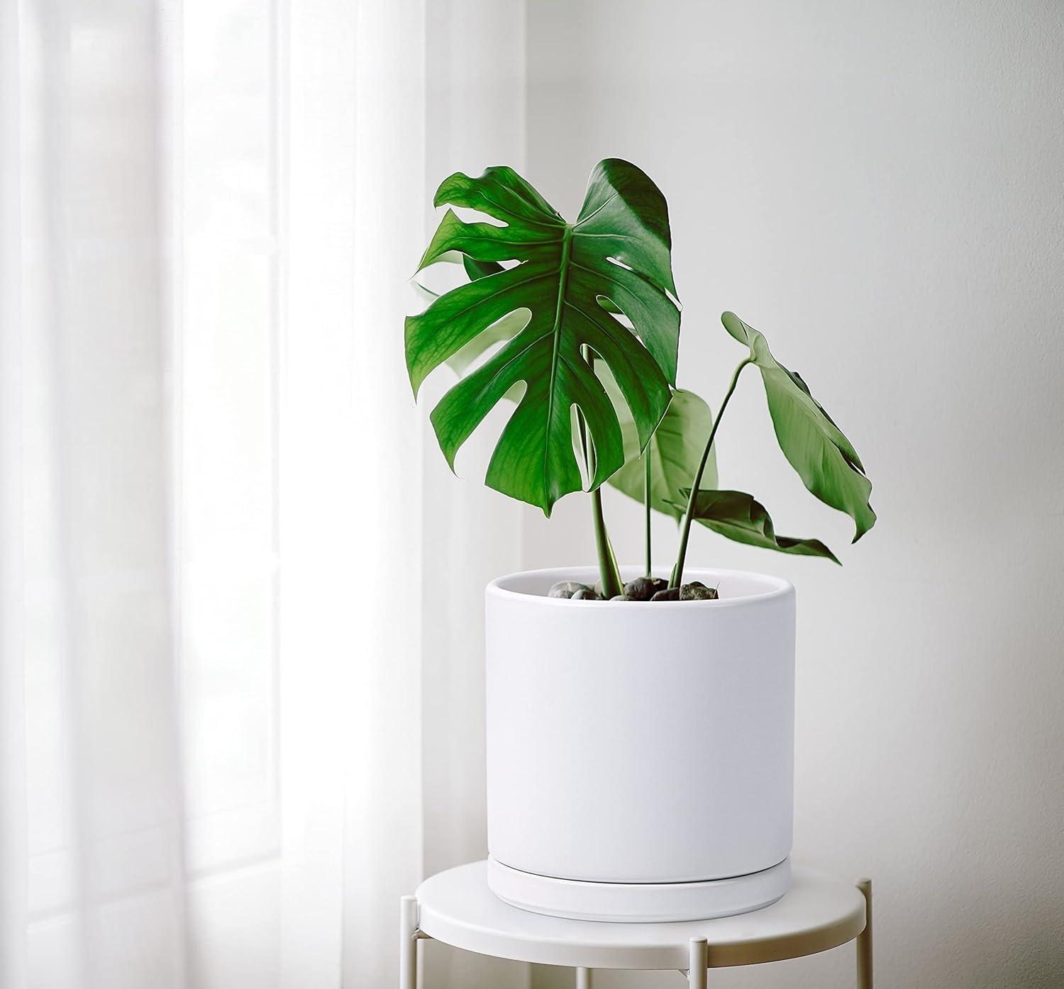 Ceramic Cylinder Planter