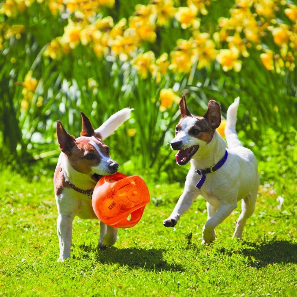 KONG® Jumbler Ball Dog Toy - Interactive 2-in-1 Ball with Squeaker (Color Varies)