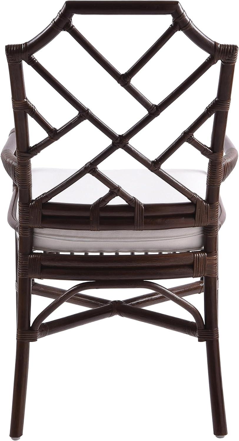 New Pacific Direct Kara 21" Fabric and Rattan Arm Chair in Paloma Brown