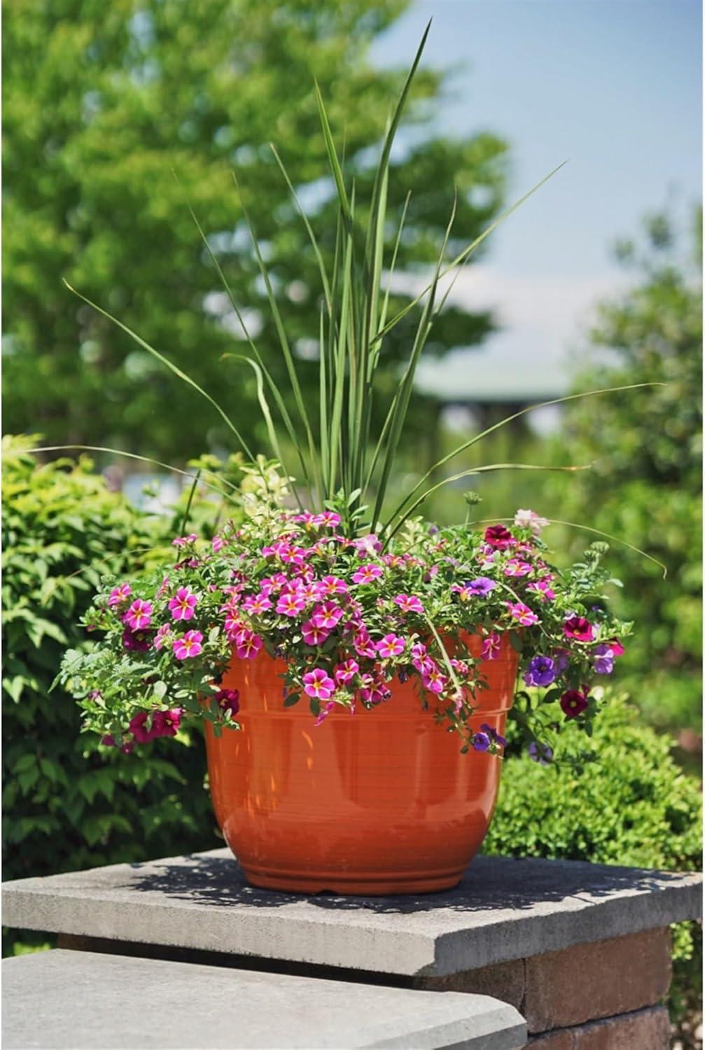 Garden Elements Indoor/Outdoor Glazed Brushed Happy Plastic Planter, Large, Bright Pink, 15"