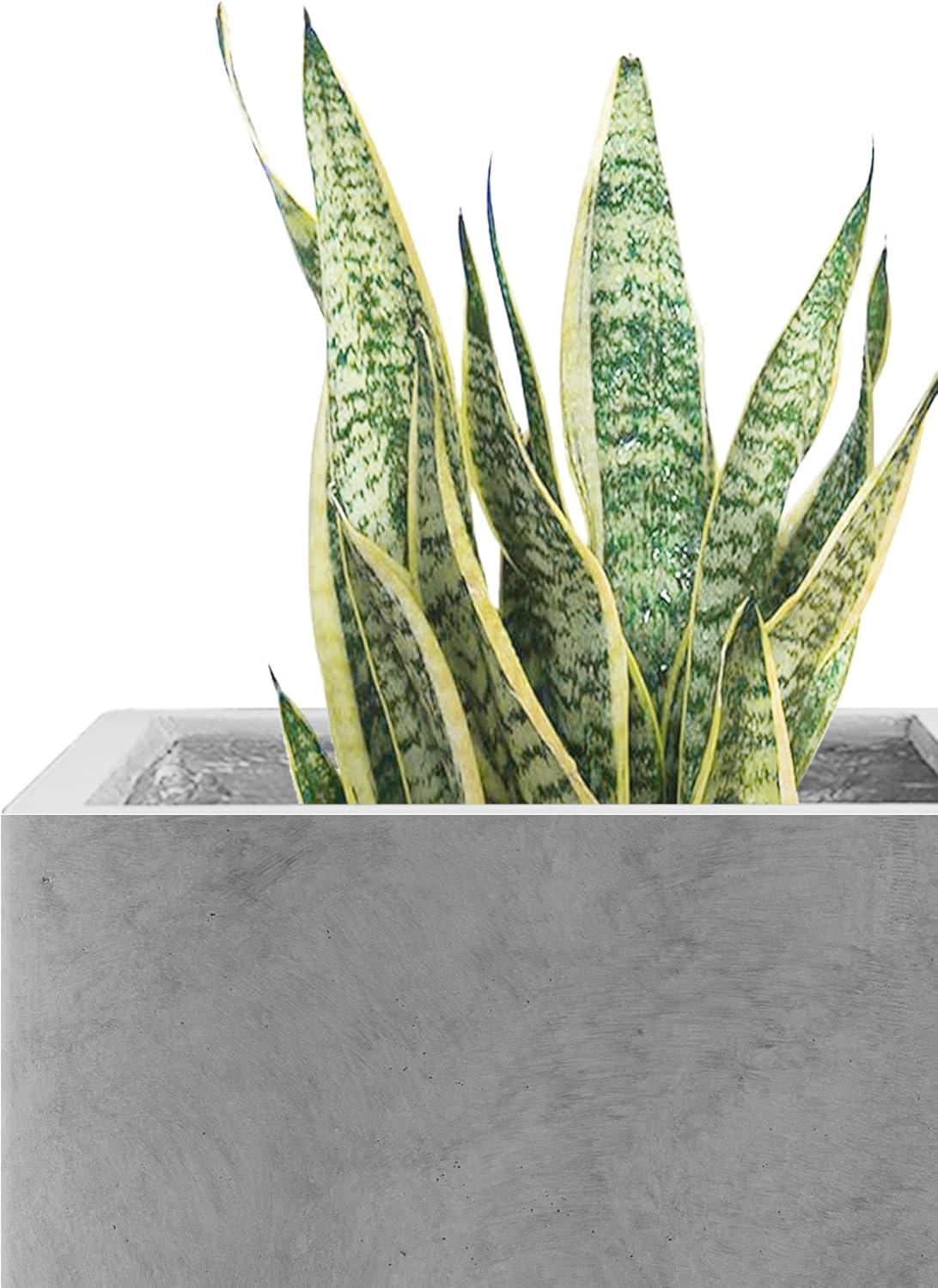 10 Inch Natural Gray Concrete Square Planter Pot