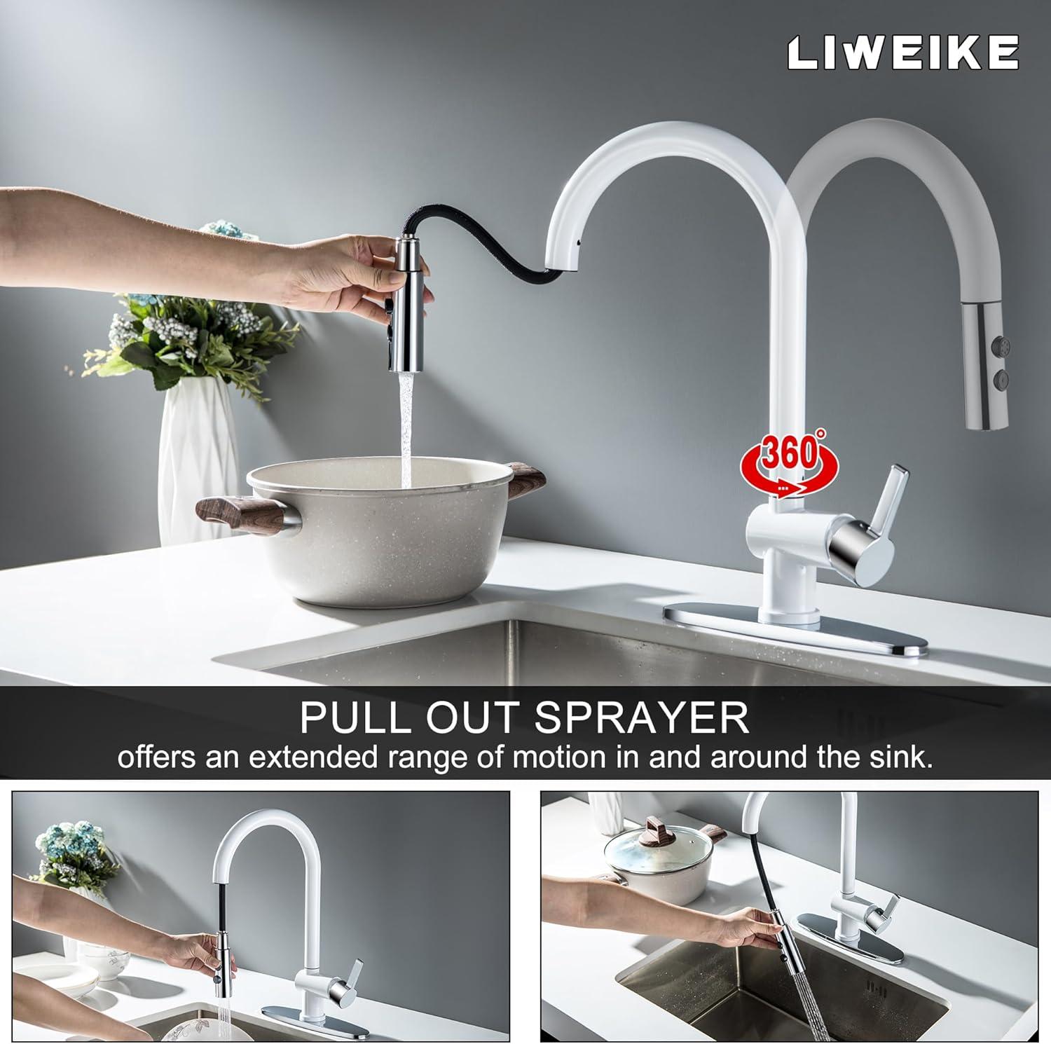 VIBRANTBATH VIBRANTBATH Pull Out Kitchen Faucet 4034-BGK