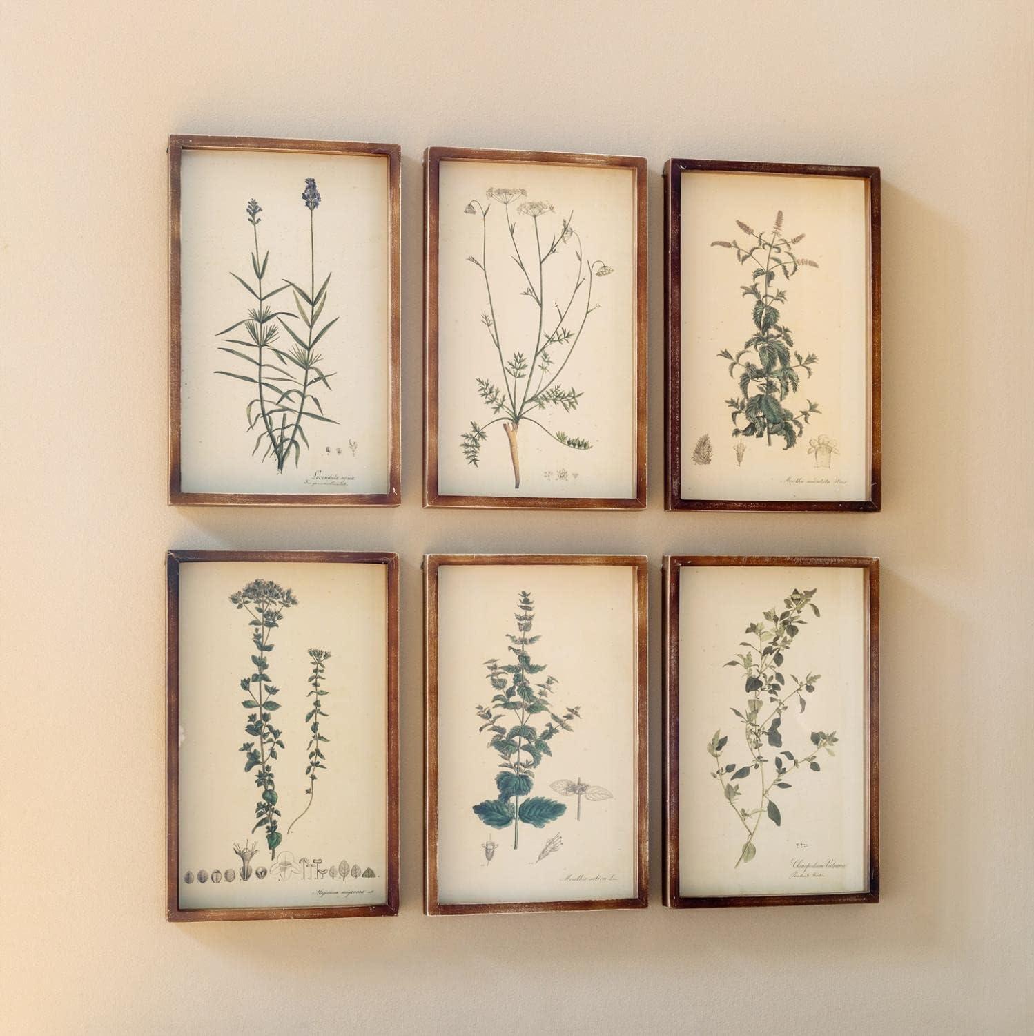 Rustic Natural Wood Framed Botanical Prints Set of 6