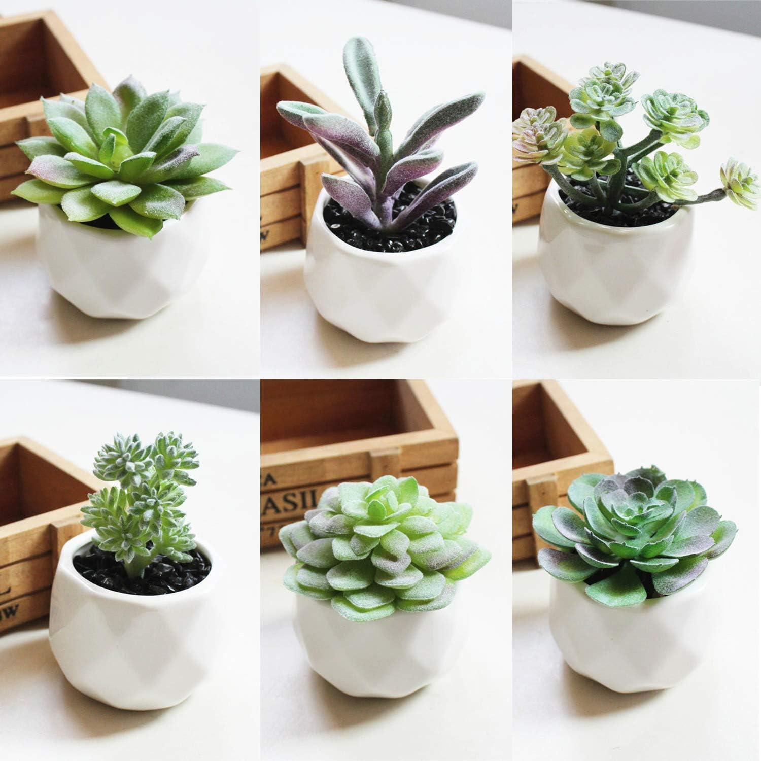 16 Pack Artificial Succulents Plants - Small Fake Plants for Miniature Gardens - Quality PVC Plastic - Faux Succulent Decor - Unique and Varied Designs - Ideal for Beautiful Gardens|The 16 pack of Art