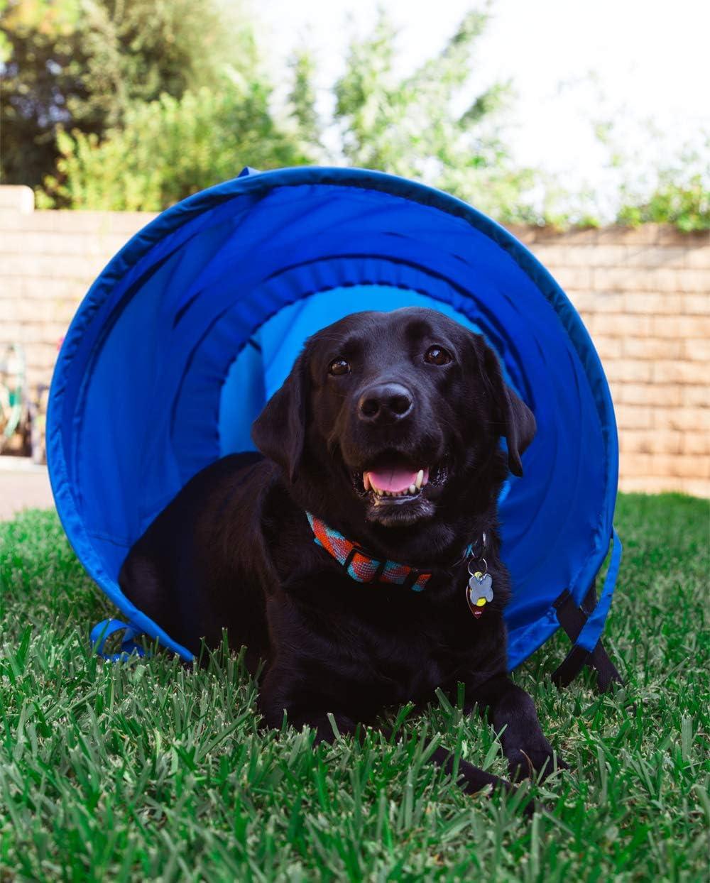 Blue 3-Foot Dog Agility Tunnel with 8-Foot Chute