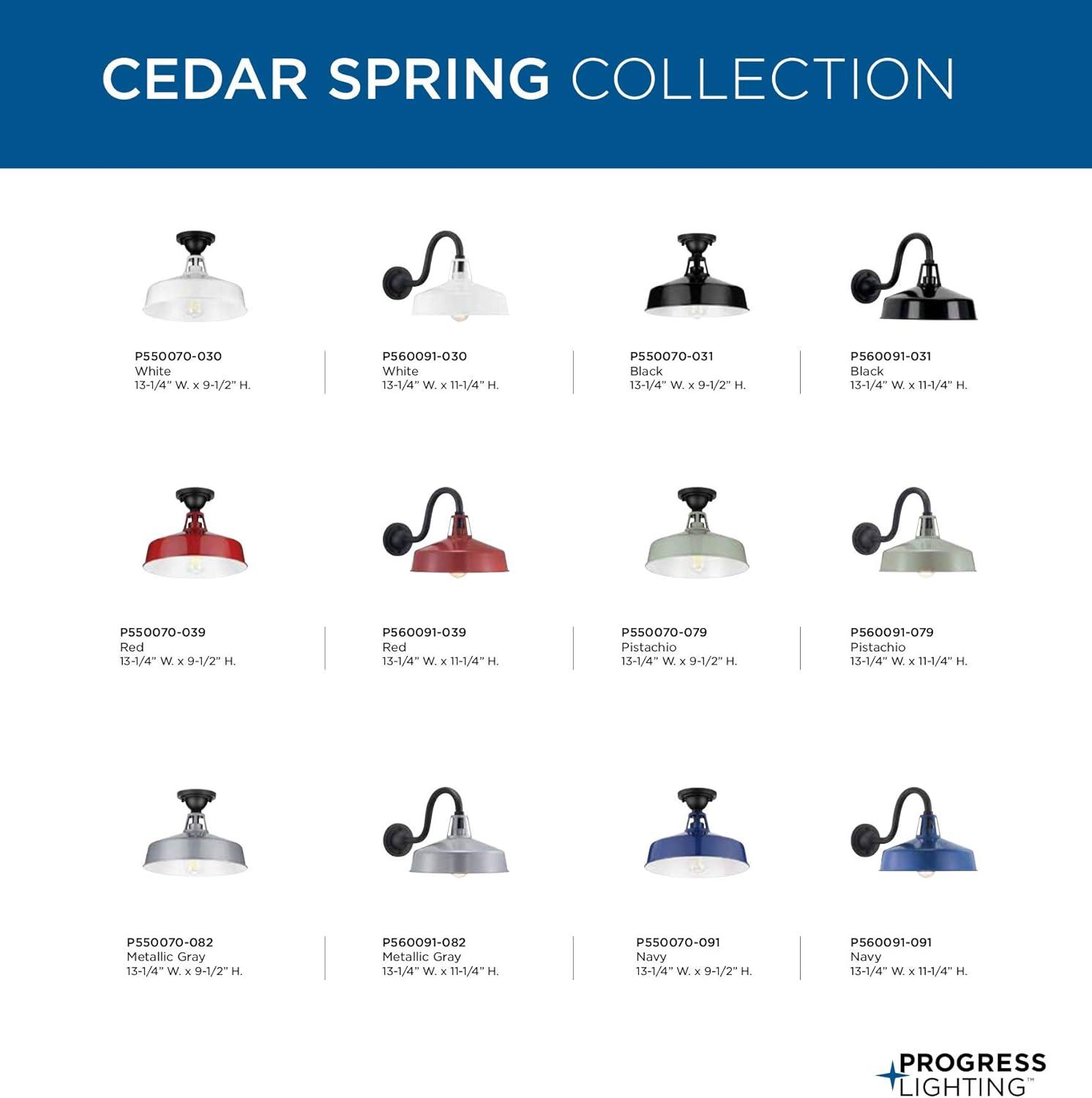 Progress Lighting, Cedar Springs, 1-Light Ceiling Light, Metallic Gray, White Shade