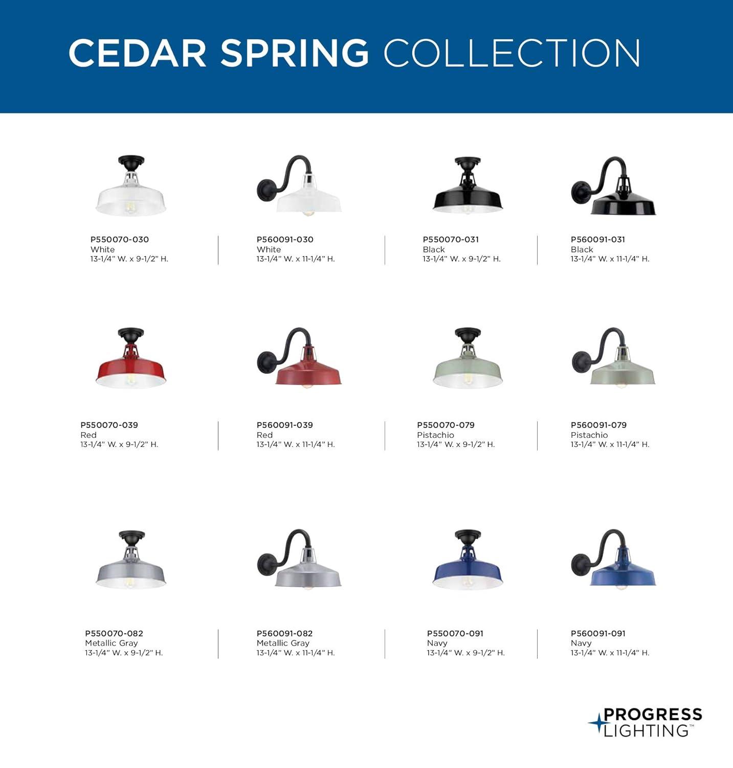 Progress Lighting, Cedar Springs, 1-Light Ceiling Light, Red Finish, White Shade