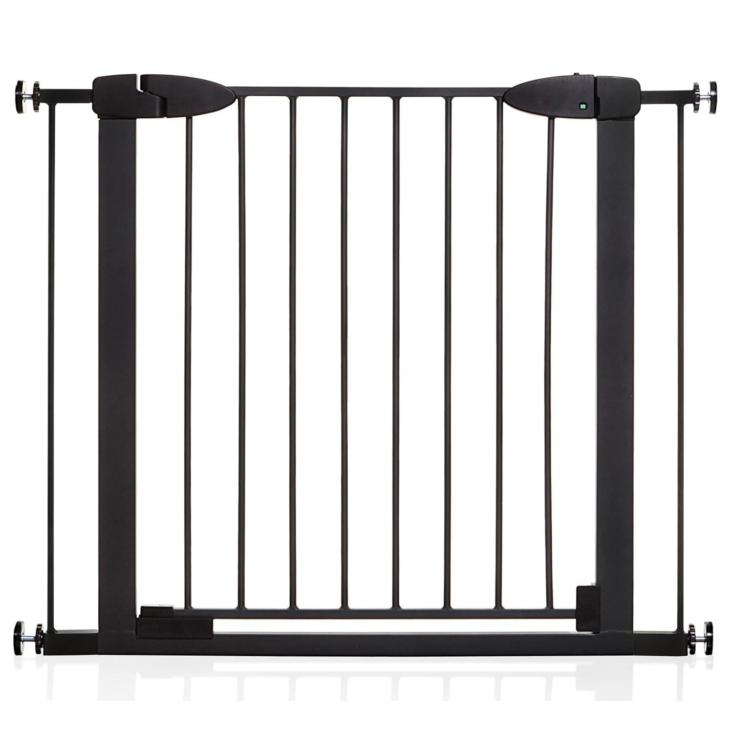 Boston Safety Gate