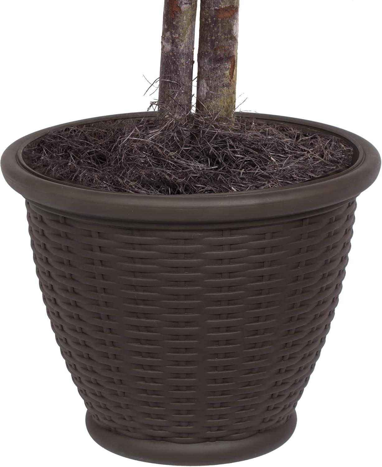 Vickerman 4' Artificial Ficus Bush, Brown Plastic Container.