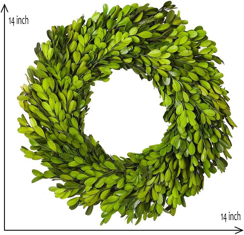 Boxwood Wreath 14 inch Preserved Nature Boxwood Wreath Home Decor Stay Fresh for Years Easter Wreath (Boxwood Wreath 14 inch)