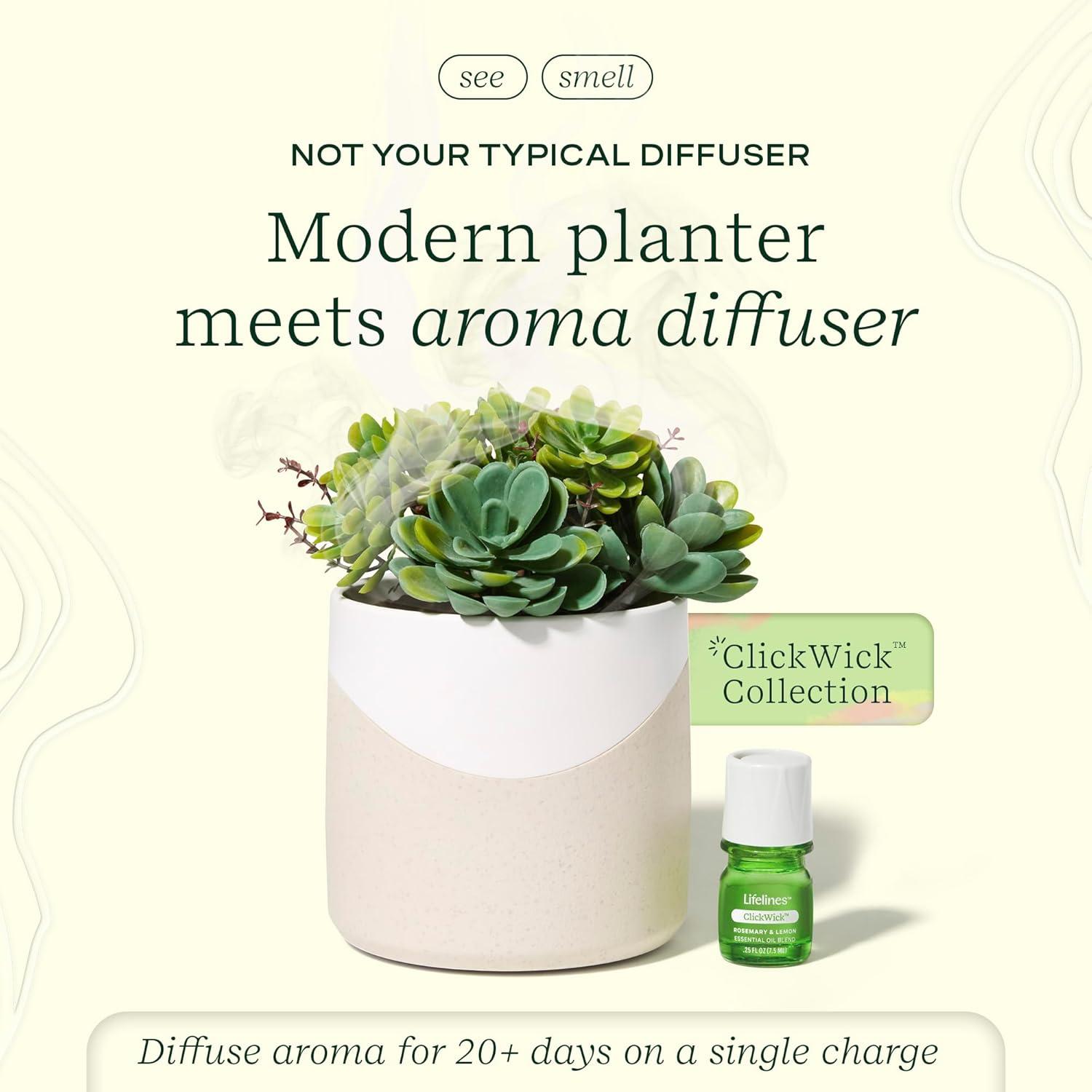 Lifelines Planter Diffuser - Succulent