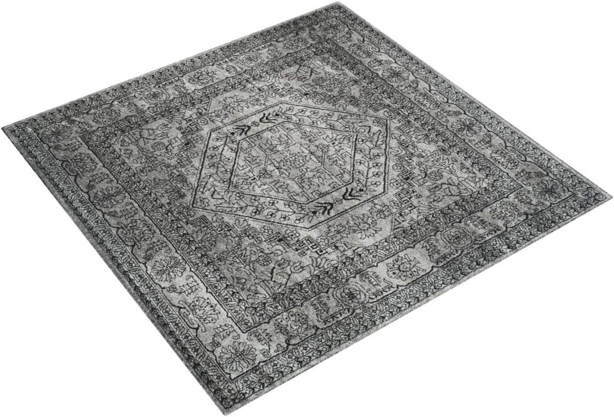 Adirondack ADR108 Area Rug  - Safavieh